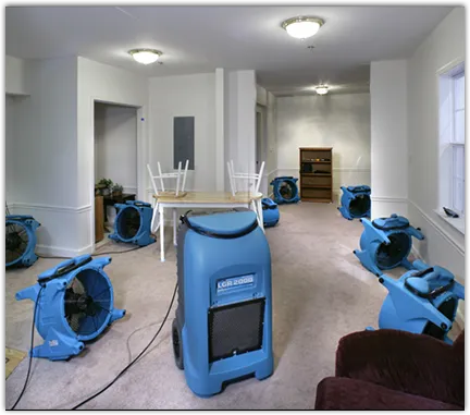 Water Damage Restoration services in Bear Creek, MI
