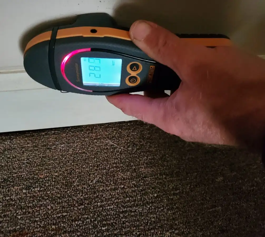 Moisture detection at baseboard during Sewage Cleanup & Sanitation in Bear Creek